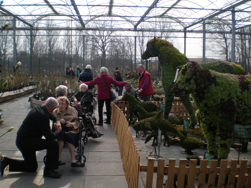 The-Rotary-Club-of-Southport-Links-and-Residents-pf-Alexandra-House-visit-Barton-Grange-Garden-Centre